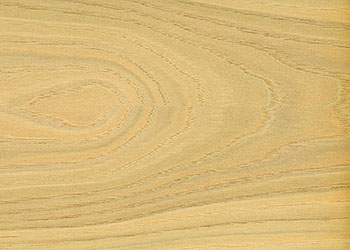 Chestnut